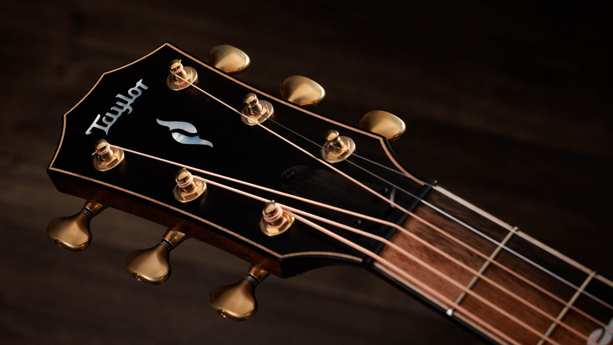 Đàn guitar acoustic điện Taylor Builder's Edition 814ce LTD Macassar Ebony – cận đầu đàn và logo Taylor