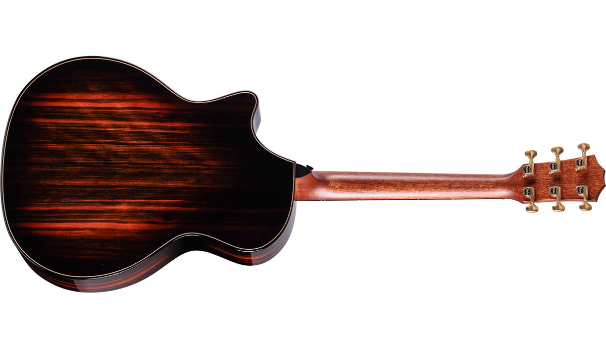Đàn guitar acoustic điện Taylor Builder's Edition 814ce LTD Macassar Ebony – mặt lưng toàn thân