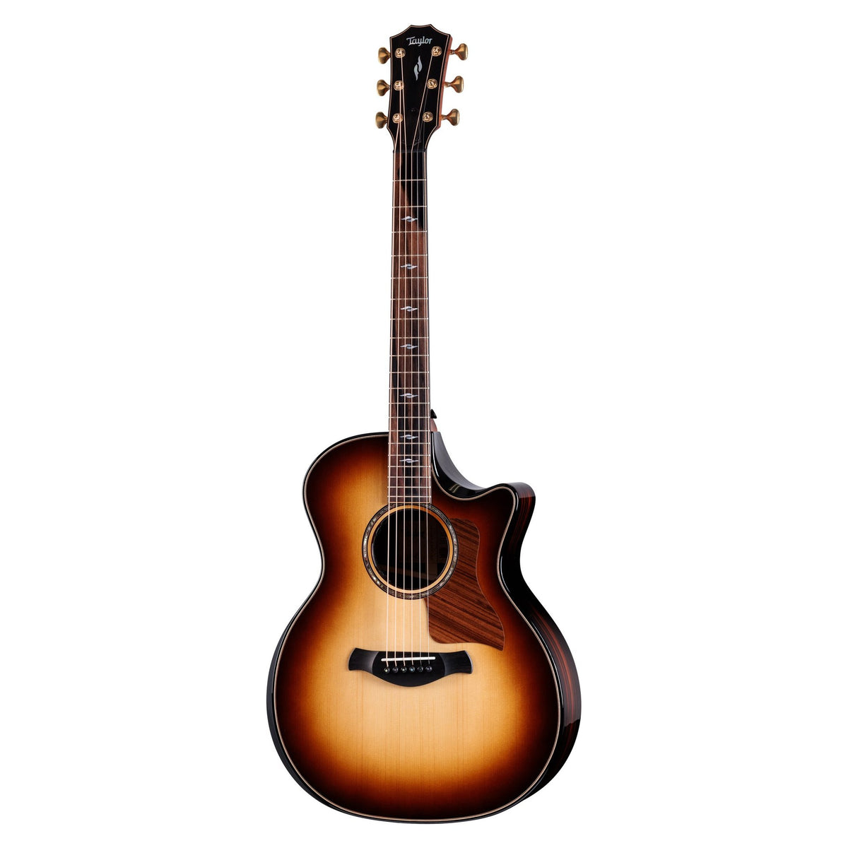 Đàn guitar acoustic điện Taylor Builder's Edition 814ce LTD Macassar Ebony – mặt trước toàn thân