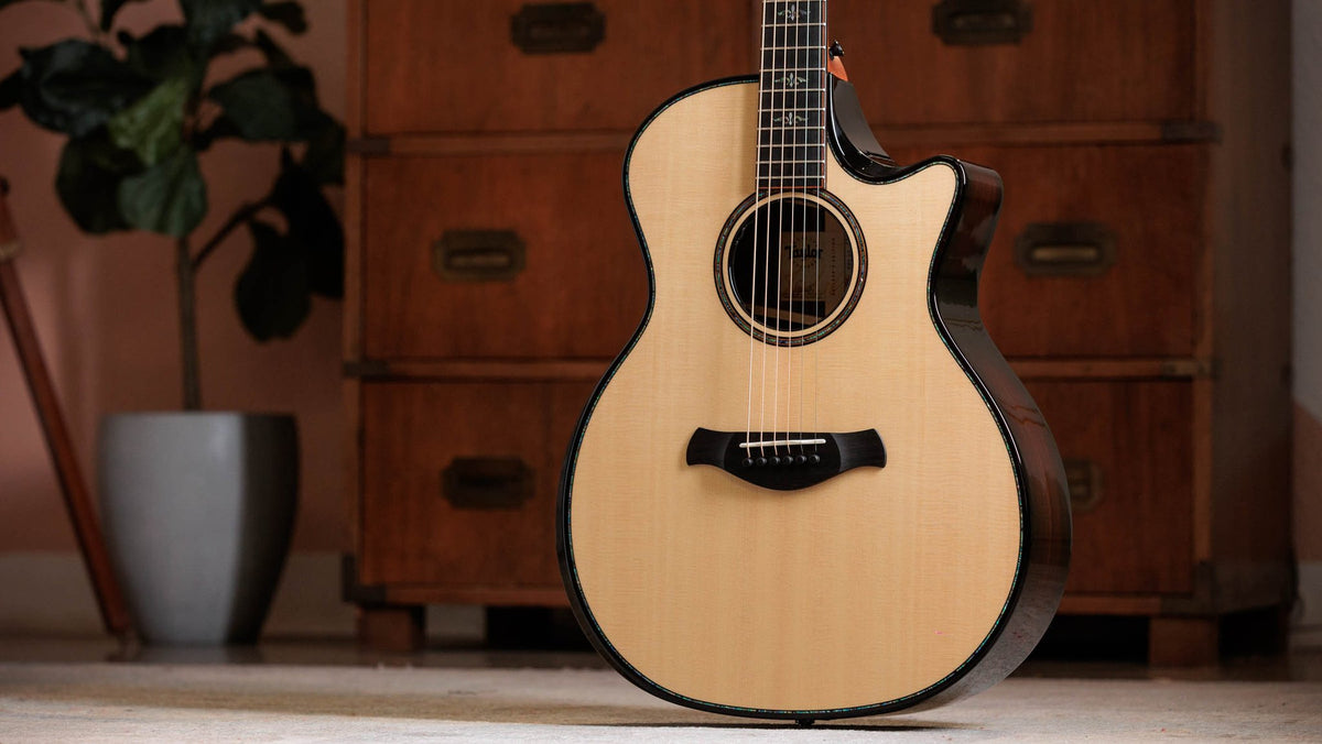 Đàn guitar acoustic điện Taylor Builder's Edition 914ce – ảnh chính hãng chụp nằm ngang