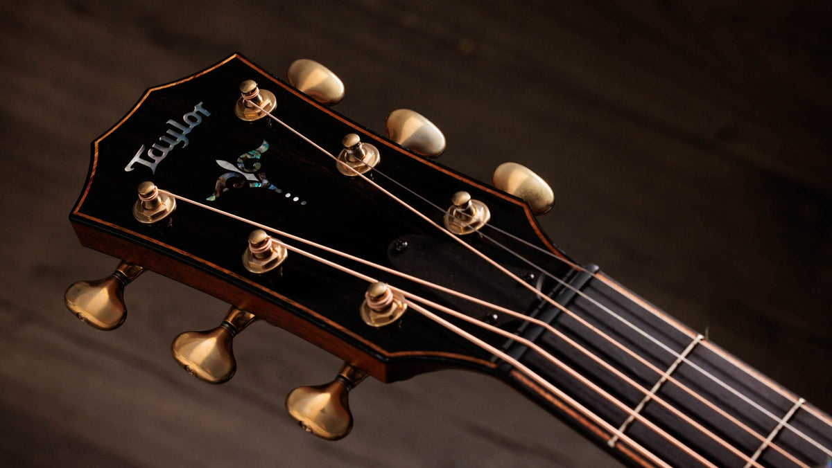 Đàn guitar acoustic điện Taylor Builder's Edition 914ce – cận đầu đàn và logo Taylor