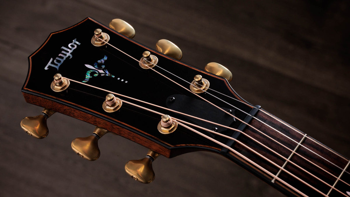 Đàn guitar acoustic điện Taylor Builder's Edition 914ce LTD Macassar Ebony màu Kona Edgeburst – cận đầu đàn và logo Taylor