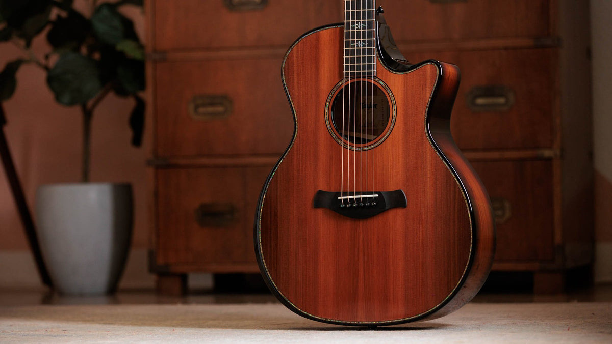 Đàn guitar acoustic điện Taylor Builder's Edition 914ce Sinker Redwood – ảnh chính hãng chụp nằm ngang