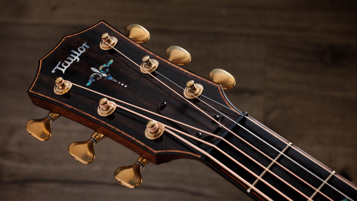 Đàn guitar acoustic điện Taylor Builder's Edition 914ce Sinker Redwood – cận đầu đàn và logo Taylor