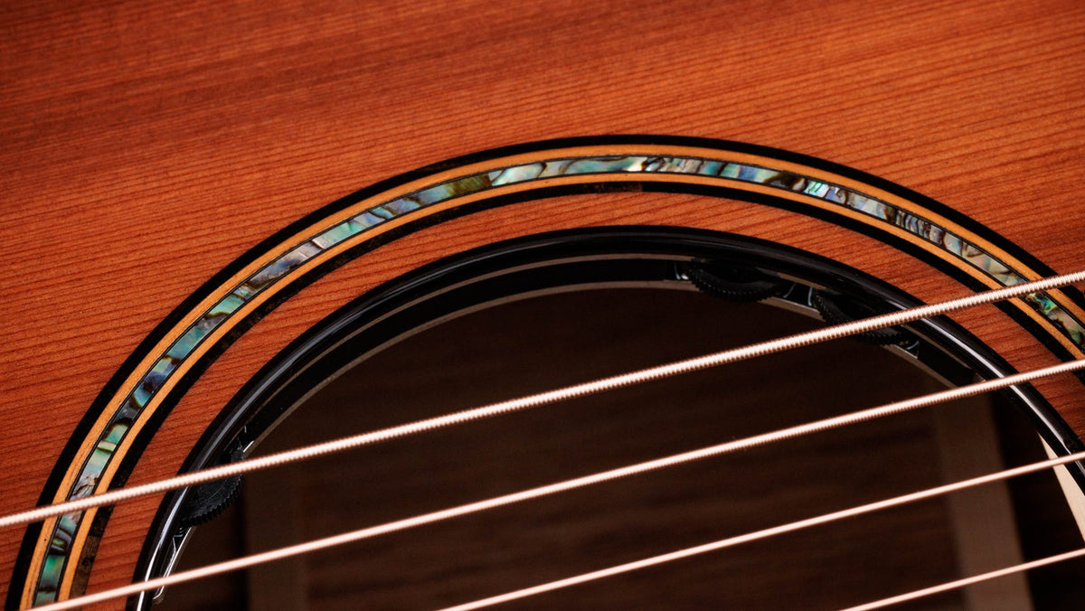 Đàn guitar acoustic điện Taylor Builder's Edition 914ce Sinker Redwood – cận hoa văn viền lỗ thoát âm (rosette)