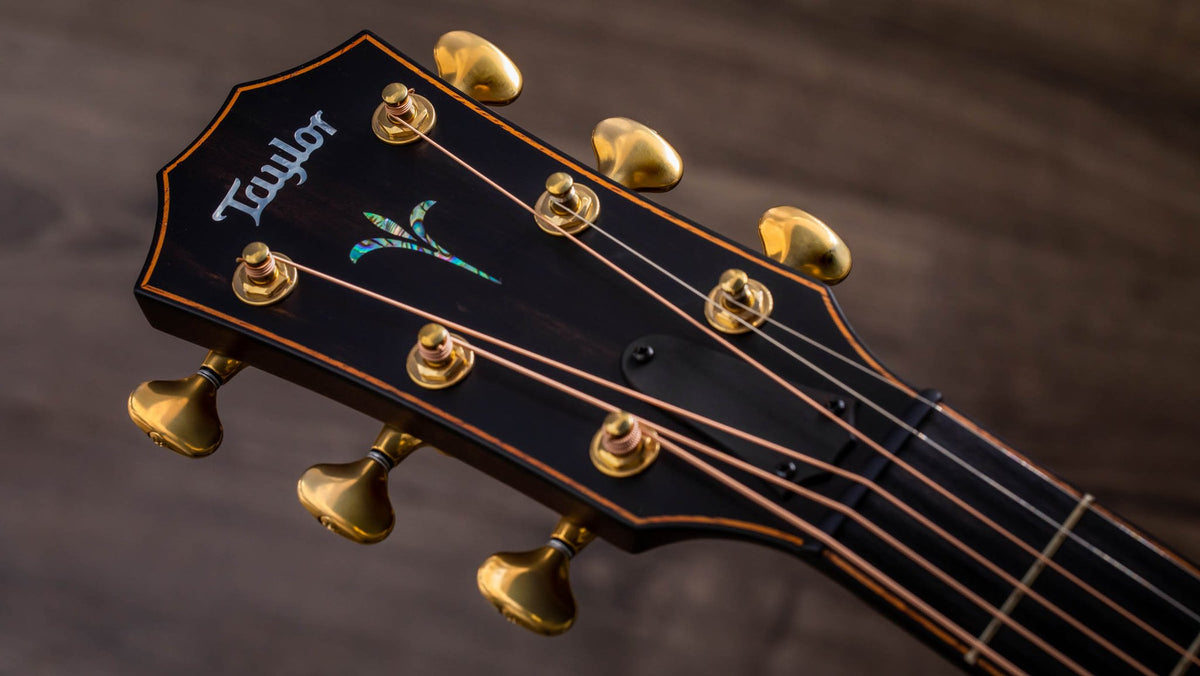 Đàn guitar acoustic điện Taylor Builder's Edition K14ce – cận đầu đàn và logo Taylor