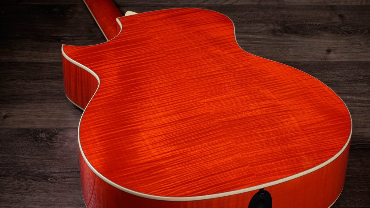 Đàn guitar acoustic điện Taylor Doyle Dykes Signature Model màu Translucent Orange – cận vân gỗ mặt lưng