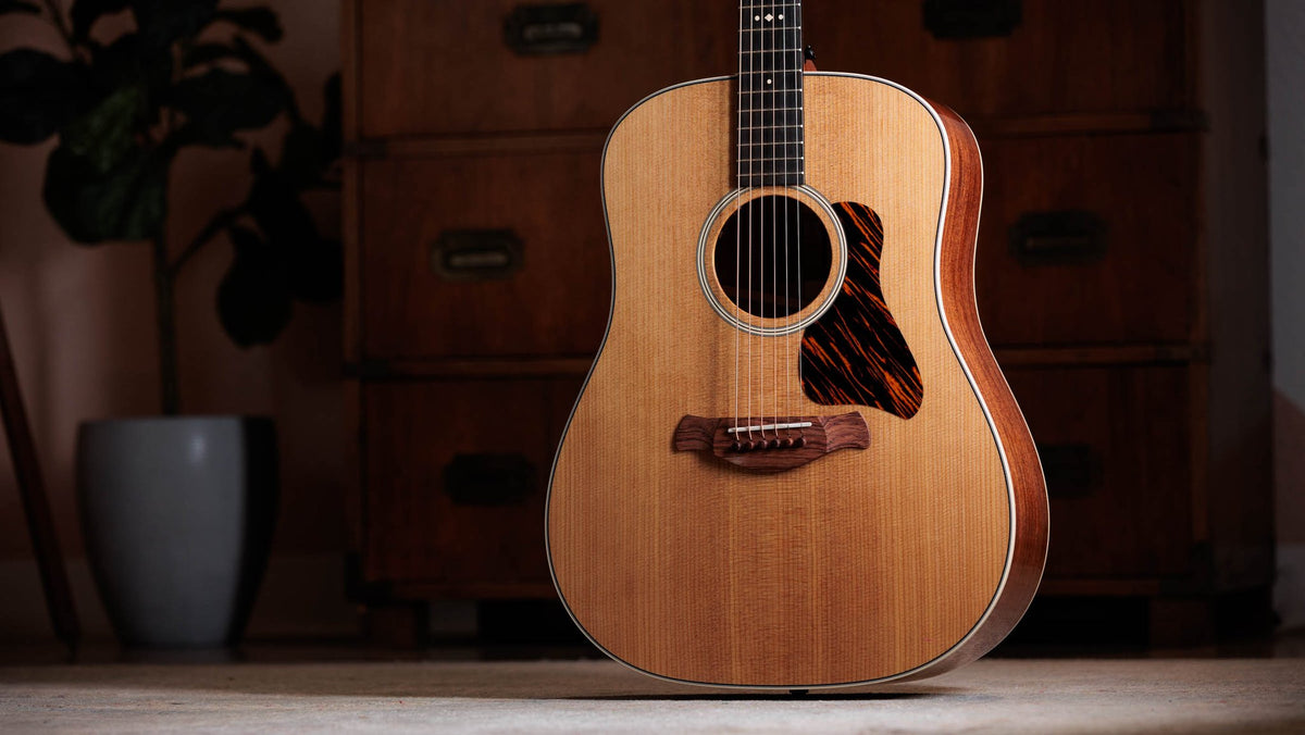 Đàn guitar acoustic điện Taylor Gold Label 510e màu Natural – ảnh chính hãng chụp nằm ngang