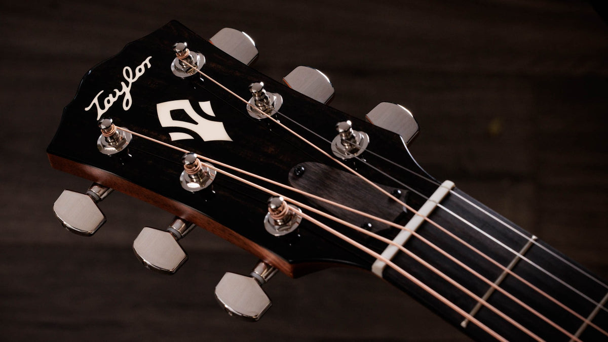 Đàn guitar acoustic điện Taylor Gold Label 510e màu Natural – cận đầu đàn và logo Taylor