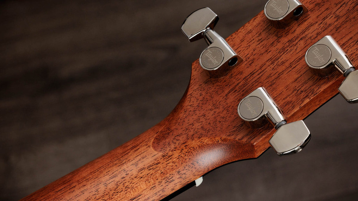 Đàn guitar acoustic điện Taylor Gold Label 510e màu Natural – mặt sau đầu đàn và bộ khóa lên dây