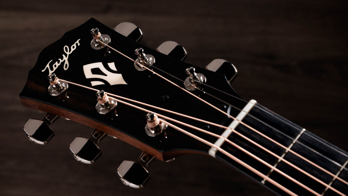 Đàn guitar acoustic điện Taylor Gold Label 512e màu Natural – cận đầu đàn và logo Taylor