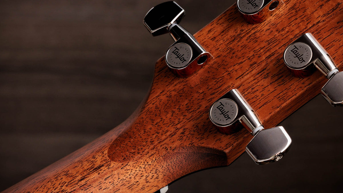 Đàn guitar acoustic điện Taylor Gold Label 512e màu Natural – mặt sau đầu đàn và bộ khóa lên dây