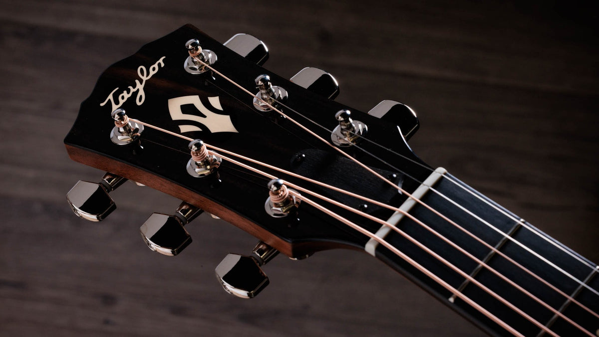 Đàn guitar acoustic điện Taylor Gold Label 514e mặt đen Blacktop – cận đầu đàn và logo Taylor