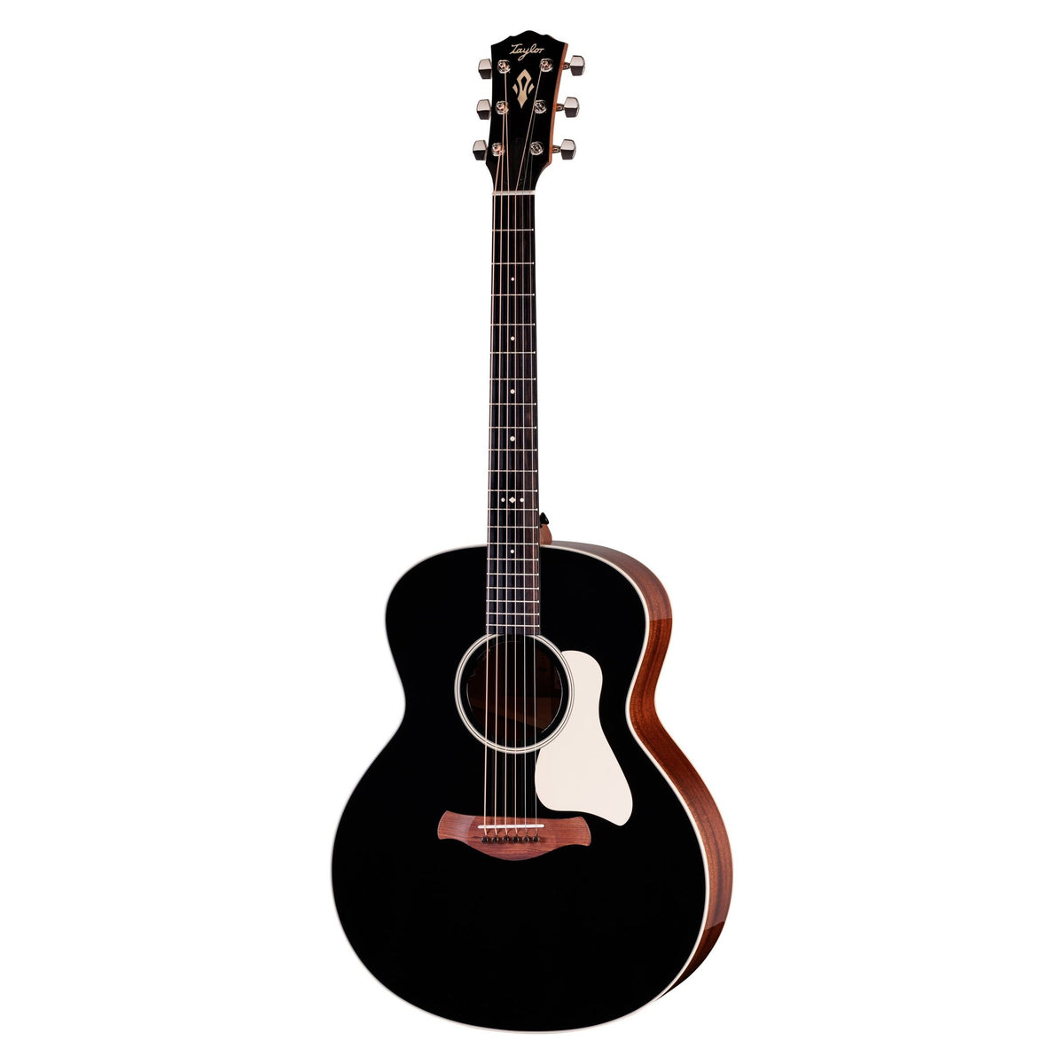 Đàn guitar acoustic điện Taylor Gold Label 514e mặt đen Blacktop – mặt trước toàn thân
