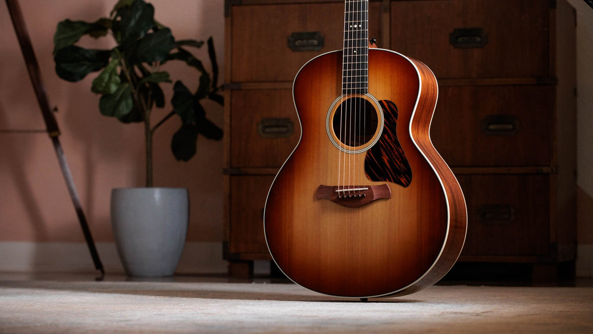 Đàn guitar acoustic điện Taylor Gold Label 514e mặt sunburst, pickguard firestripe – ảnh chính hãng chụp nằm ngang