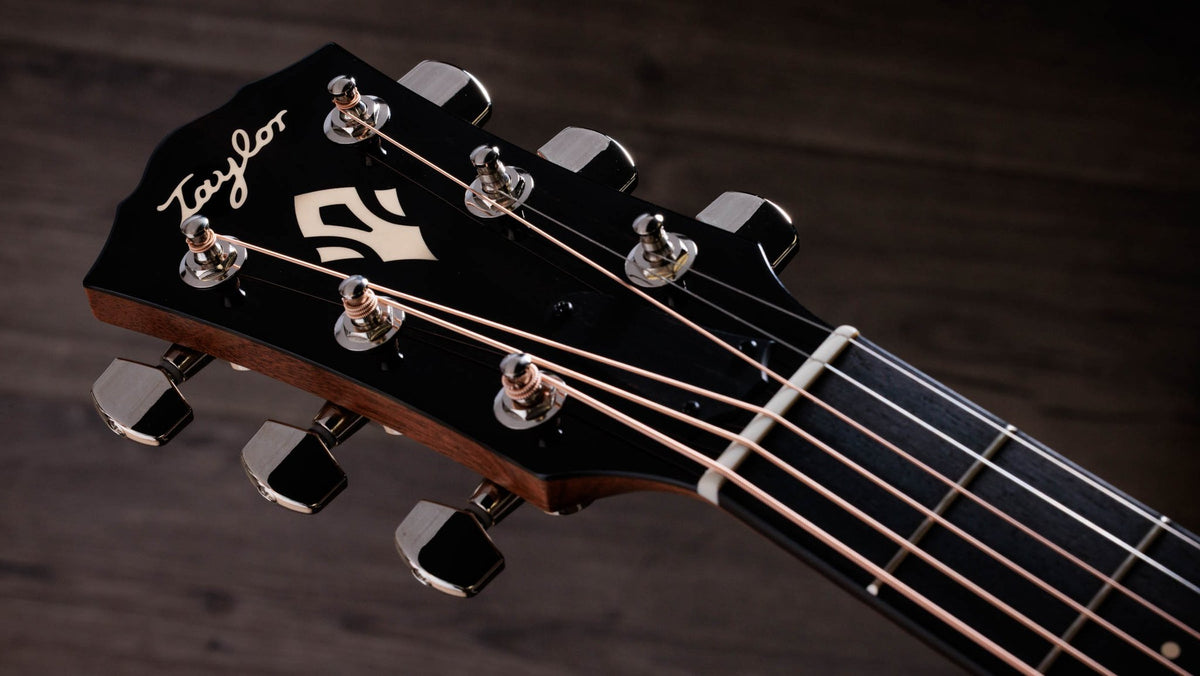 Đàn guitar acoustic điện Taylor Gold Label 514e mặt sunburst, pickguard firestripe – cận đầu đàn và logo Taylor