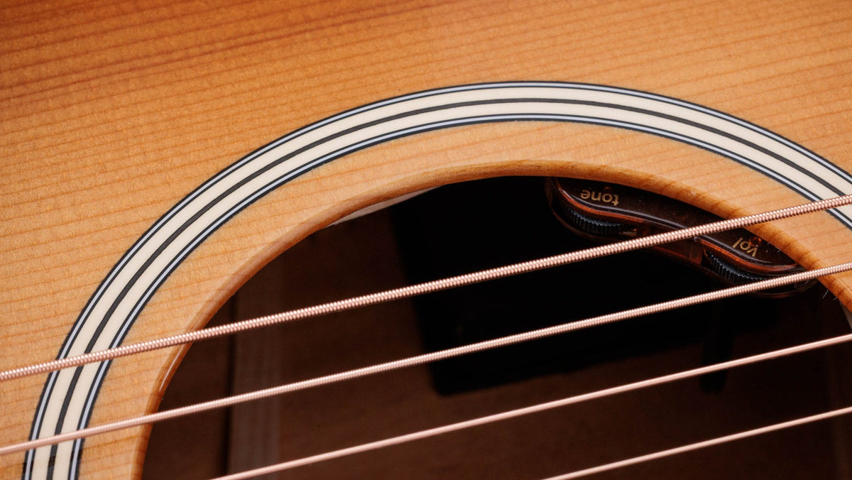 Đàn guitar acoustic điện Taylor Gold Label 514e mặt sunburst, pickguard firestripe – cận hoa văn viền lỗ thoát âm (rosette)