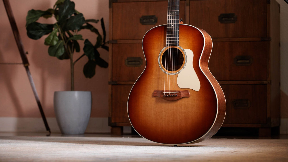 Đàn guitar acoustic điện Taylor Gold Label 514e mặt sunburst, pickguard kem – ảnh chính hãng chụp nằm ngang