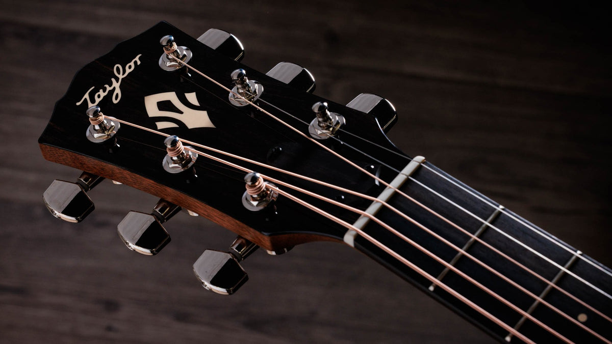 Đàn guitar acoustic điện Taylor Gold Label 514e mặt sunburst, pickguard kem – cận đầu đàn và logo Taylor