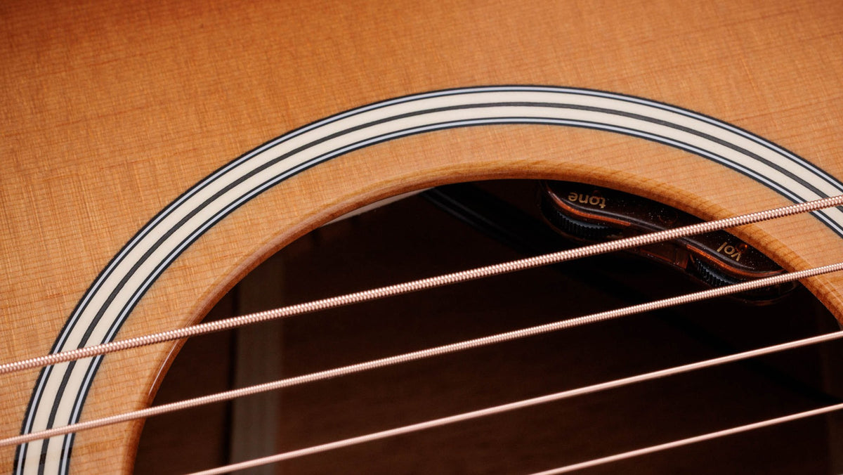 Đàn guitar acoustic điện Taylor Gold Label 514e mặt sunburst, pickguard kem – cận hoa văn viền lỗ thoát âm (rosette)