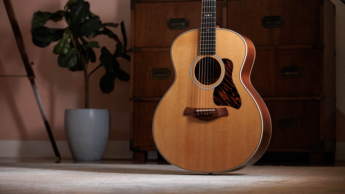 Đàn guitar acoustic điện Taylor Gold Label 514e màu Natural – ảnh chính hãng chụp nằm ngang