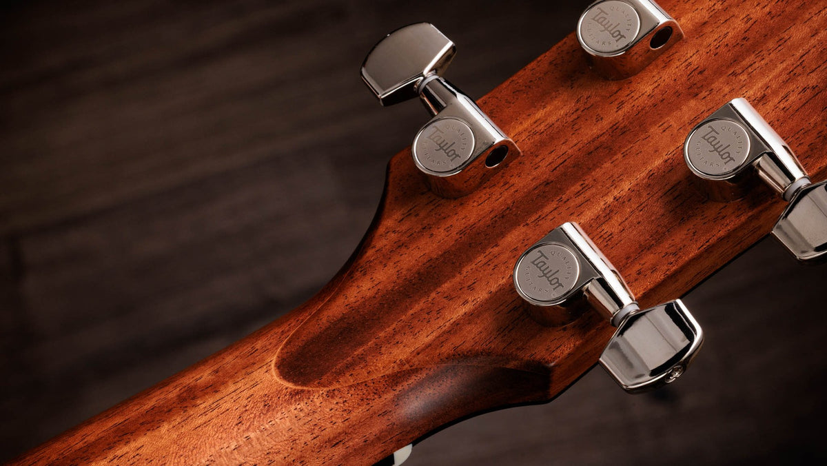 Đàn guitar acoustic điện Taylor Gold Label 514e màu Natural – mặt sau đầu đàn và bộ khóa lên dây