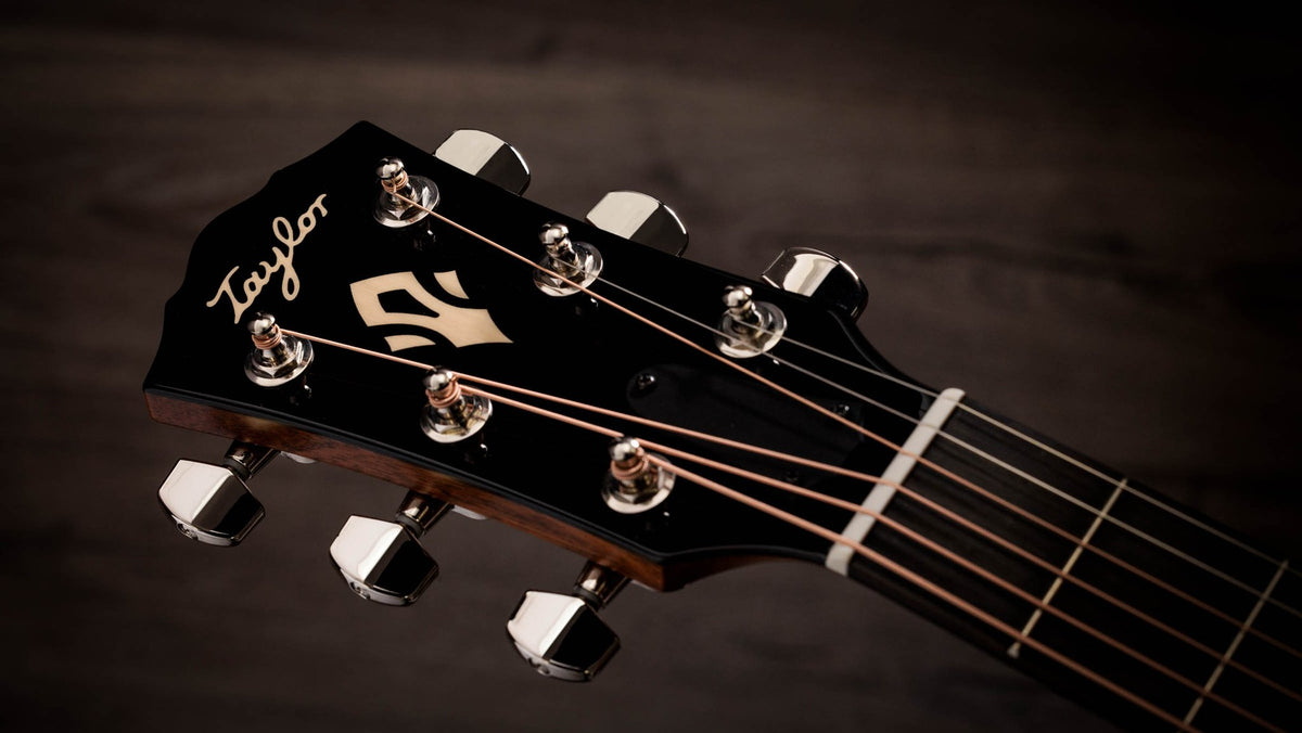 Đàn guitar acoustic điện Taylor Gold Label 517e mặt đen Blacktop – cận đầu đàn và logo Taylor