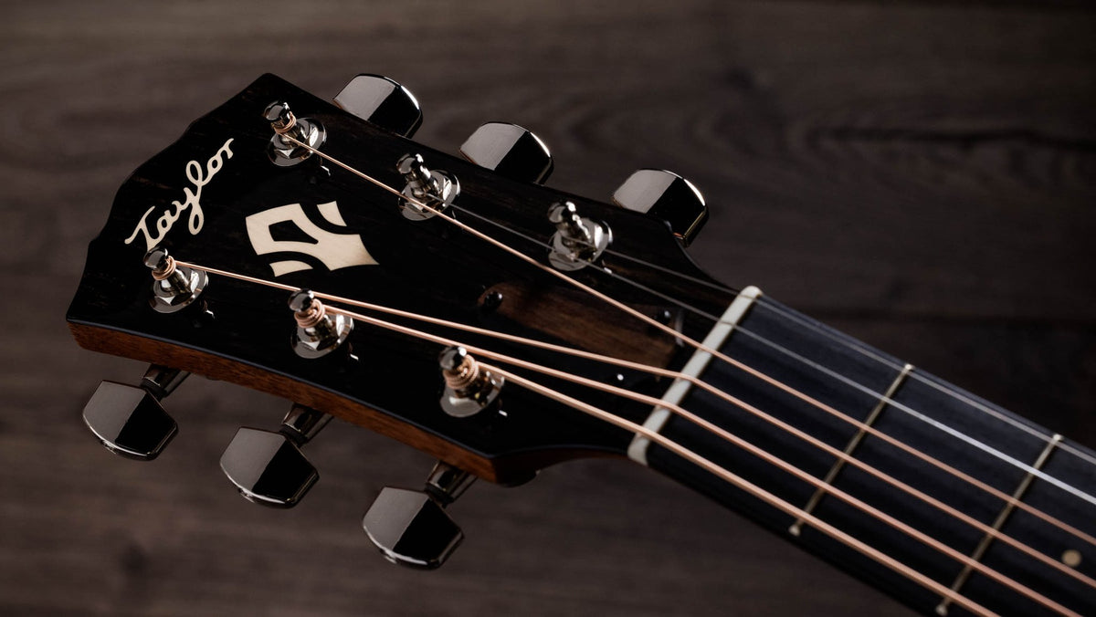 Đàn guitar acoustic điện Taylor Gold Label 517e mặt Golden Brown SEB, pickguard firestripe – cận đầu đàn và logo Taylor