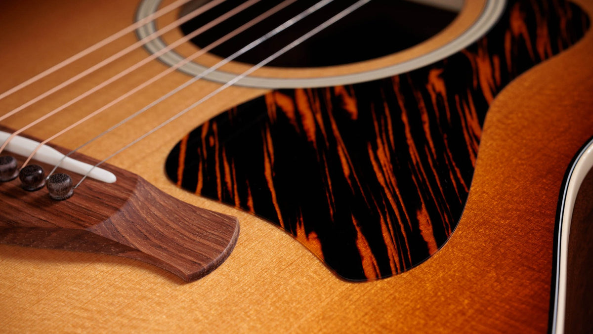 Đàn guitar acoustic điện Taylor Gold Label 517e mặt Golden Brown SEB, pickguard firestripe – cận chi tiết hoàn thiện (góc 2)