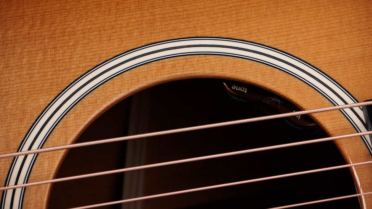 Đàn guitar acoustic điện Taylor Gold Label 517e mặt Golden Brown SEB, pickguard firestripe – cận hoa văn viền lỗ thoát âm (rosette)