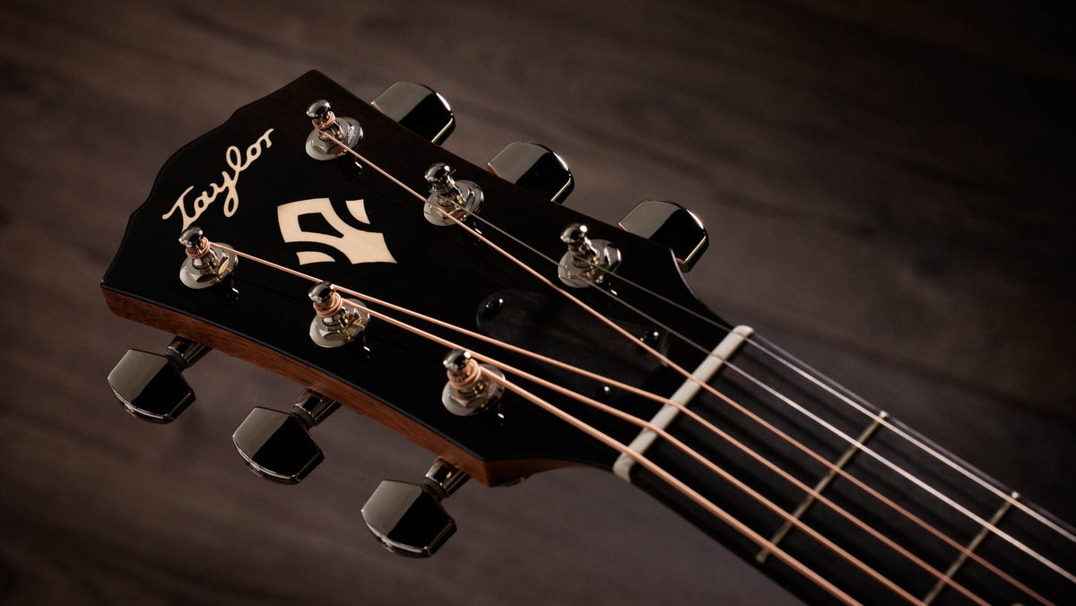 Đàn guitar acoustic điện Taylor Gold Label 517e mặt Golden Brown SEB, pickguard kem – cận đầu đàn và logo Taylor