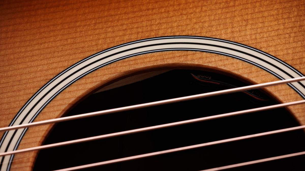Đàn guitar acoustic điện Taylor Gold Label 517e mặt Golden Brown SEB, pickguard kem – cận hoa văn viền lỗ thoát âm (rosette)