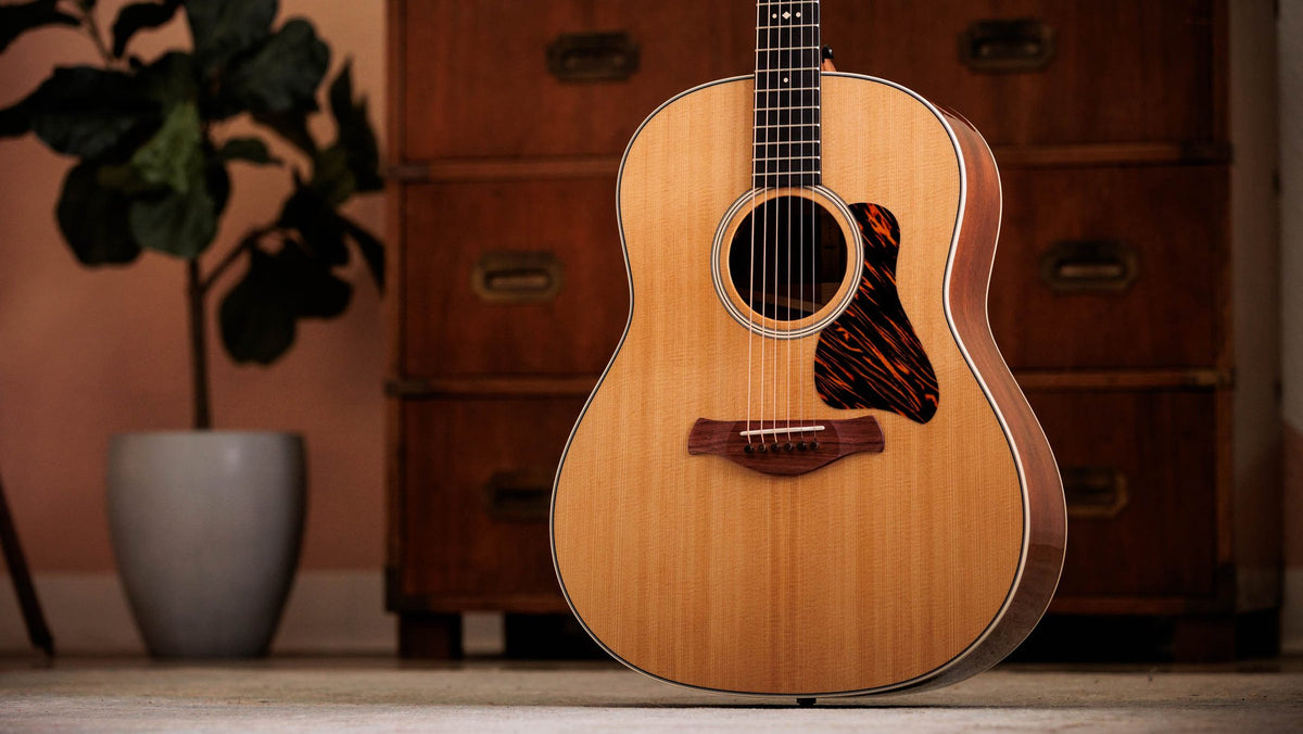 Đàn guitar acoustic điện Taylor Gold Label 517e màu Natural – ảnh chính hãng chụp nằm ngang