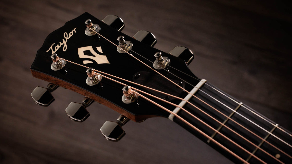 Đàn guitar acoustic điện Taylor Gold Label 517e màu Natural – cận đầu đàn và logo Taylor