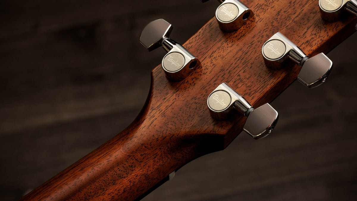 Đàn guitar acoustic điện Taylor Gold Label 517e màu Natural – mặt sau đầu đàn và bộ khóa lên dây