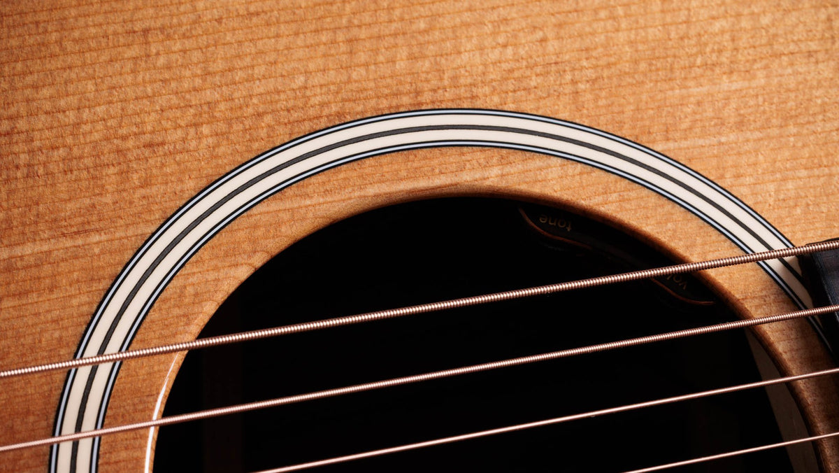 Đàn guitar acoustic điện Taylor Gold Label 710e màu Natural – cận hoa văn viền lỗ thoát âm (rosette)