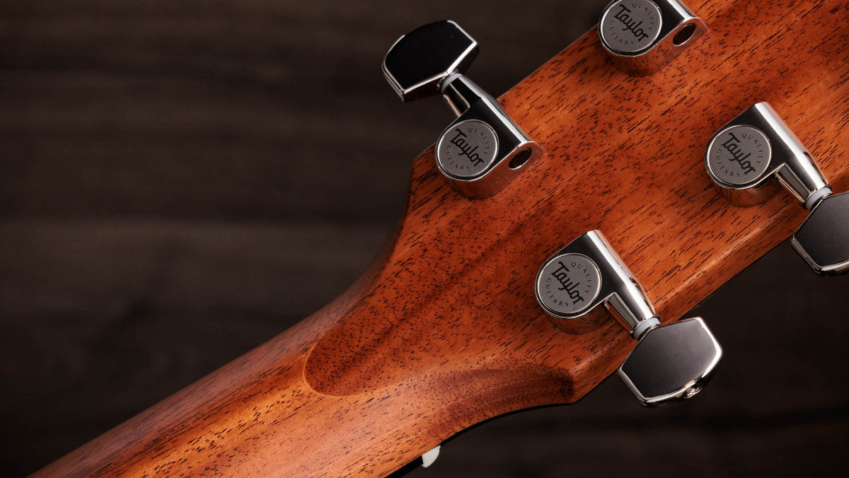 Đàn guitar acoustic điện Taylor Gold Label 710e màu Natural – mặt sau đầu đàn và bộ khóa lên dây