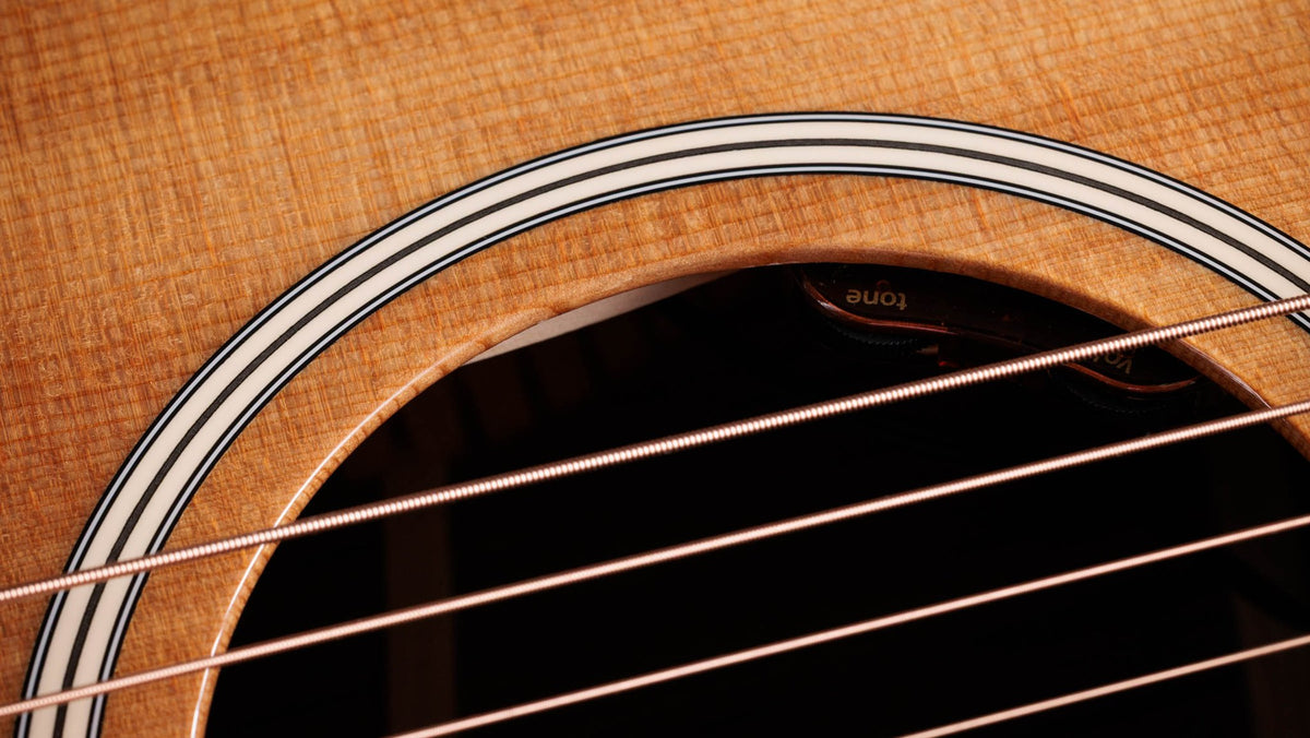 Đàn guitar acoustic điện Taylor Gold Label 712e – cận hoa văn viền lỗ thoát âm (rosette)