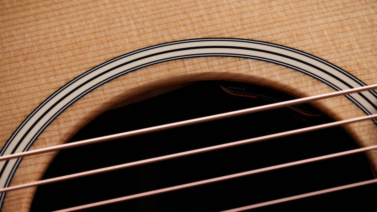 Đàn guitar acoustic điện Taylor Gold Label 717e mặt Natural – cận hoa văn viền lỗ thoát âm (rosette)