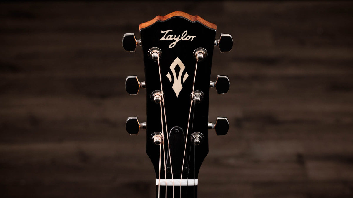 Đàn guitar acoustic điện Taylor Gold Label 717e mặt sunburst nâu vàng, pickguard kem – cận đầu đàn và logo Taylor (góc 2)