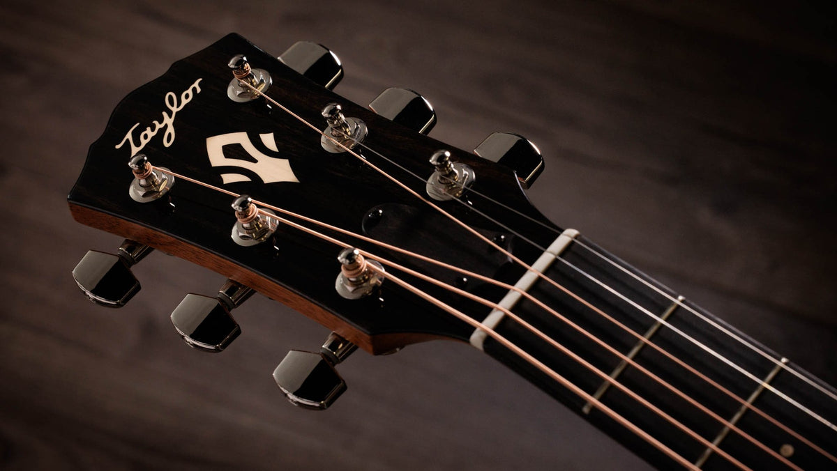 Đàn guitar acoustic điện Taylor Gold Label 717e mặt sunburst nâu vàng, pickguard kem – cận đầu đàn và logo Taylor