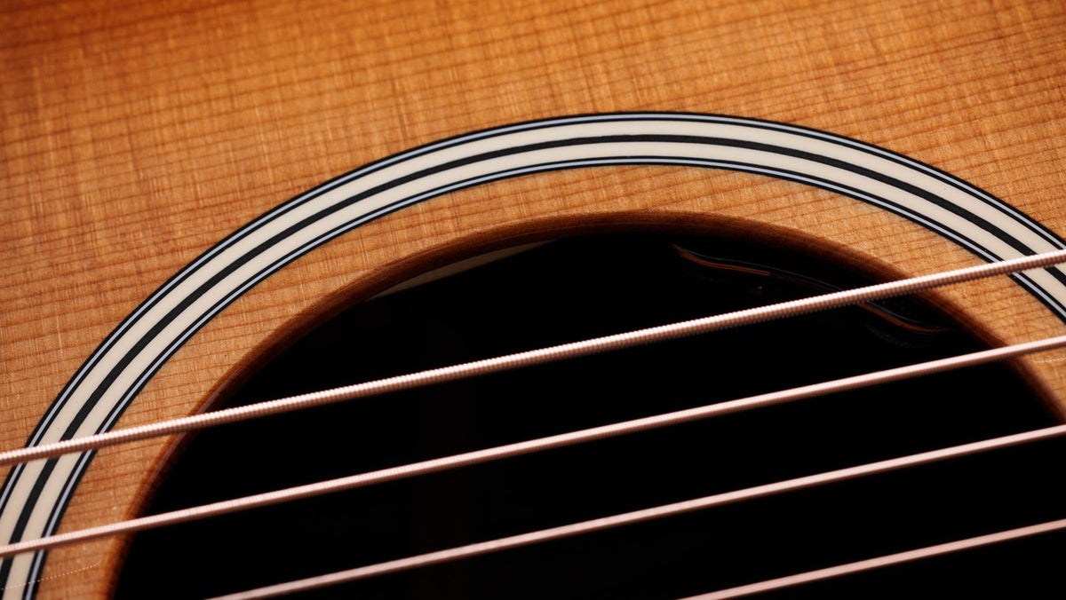 Đàn guitar acoustic điện Taylor Gold Label 717e mặt sunburst nâu vàng, pickguard kem – cận hoa văn viền lỗ thoát âm (rosette)