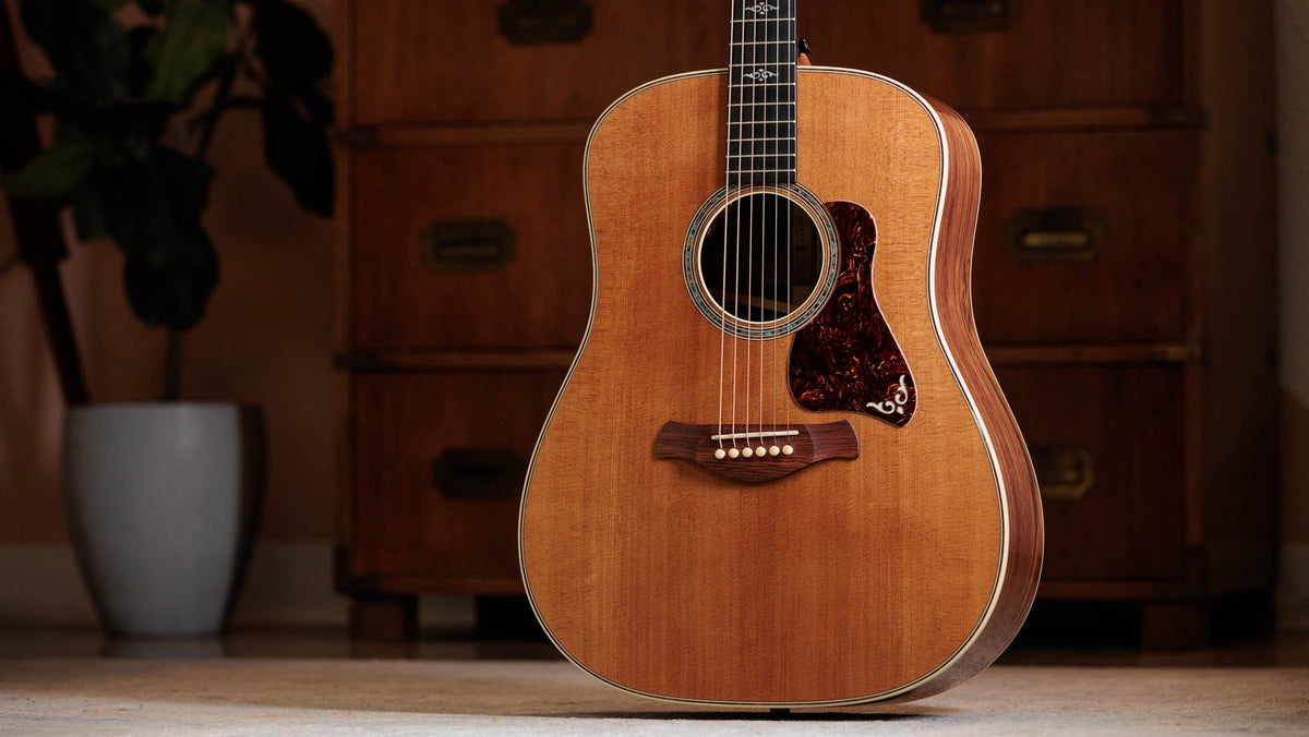 Đàn guitar acoustic điện Taylor Gold Label 810e – ảnh chính hãng chụp nằm ngang
