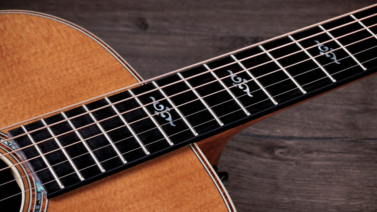 Đàn guitar acoustic điện Taylor Gold Label 810e – cận cần đàn và mặt phím