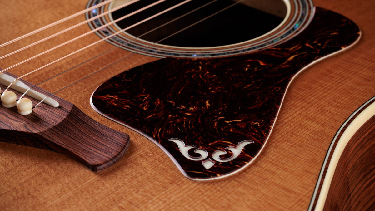 Đàn guitar acoustic điện Taylor Gold Label 810e – cận chi tiết hoàn thiện (góc 2)