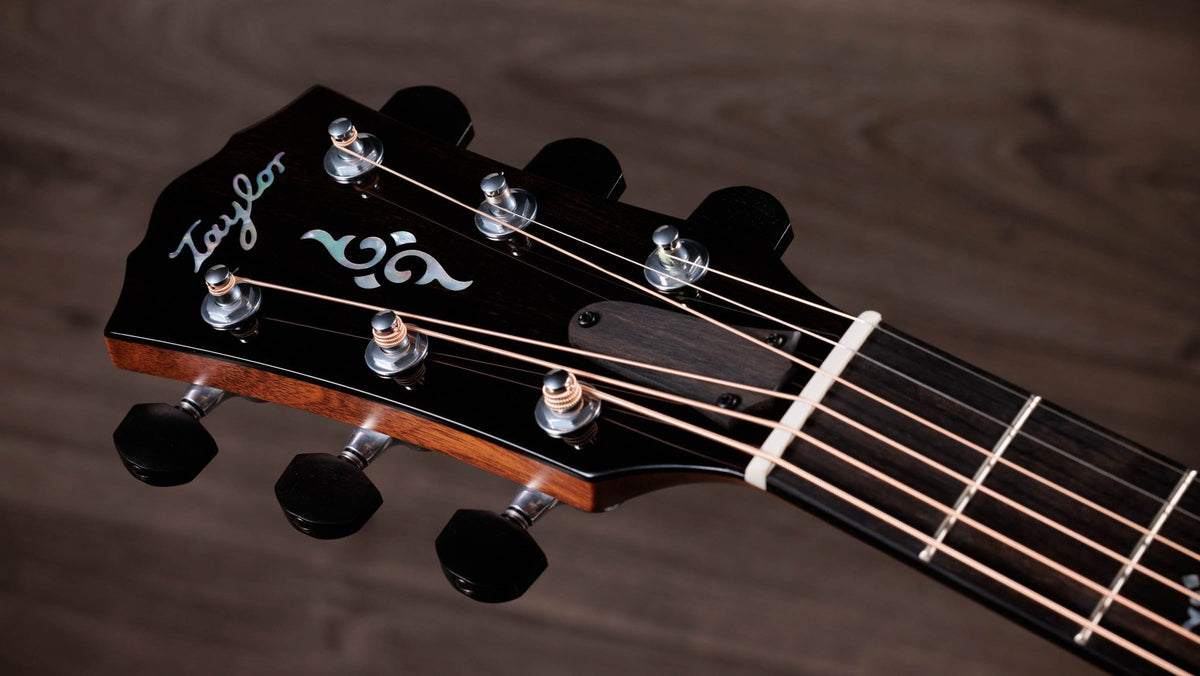 Đàn guitar acoustic điện Taylor Gold Label 810e – cận đầu đàn và logo Taylor