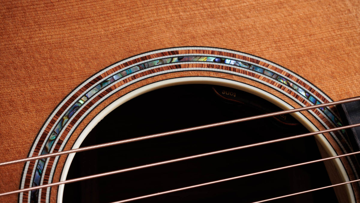 Đàn guitar acoustic điện Taylor Gold Label 810e – cận hoa văn viền lỗ thoát âm (rosette)