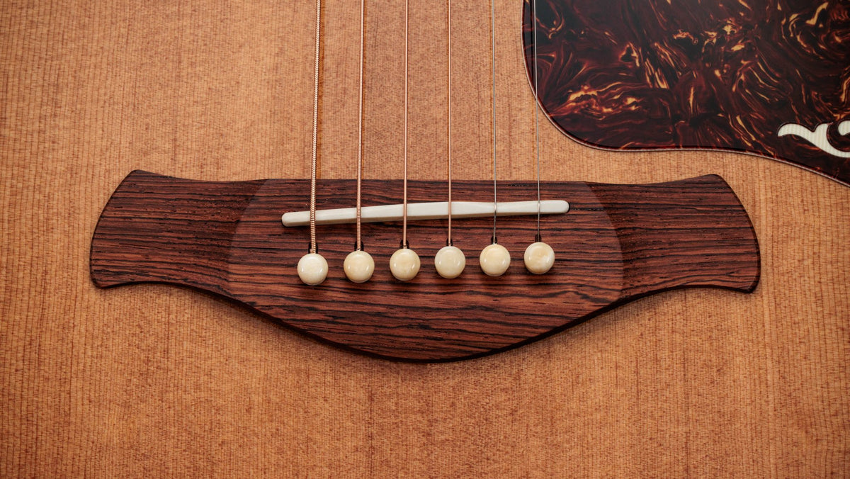 Đàn guitar acoustic điện Taylor Gold Label 810e – cận lỗ thoát âm và ngựa đàn