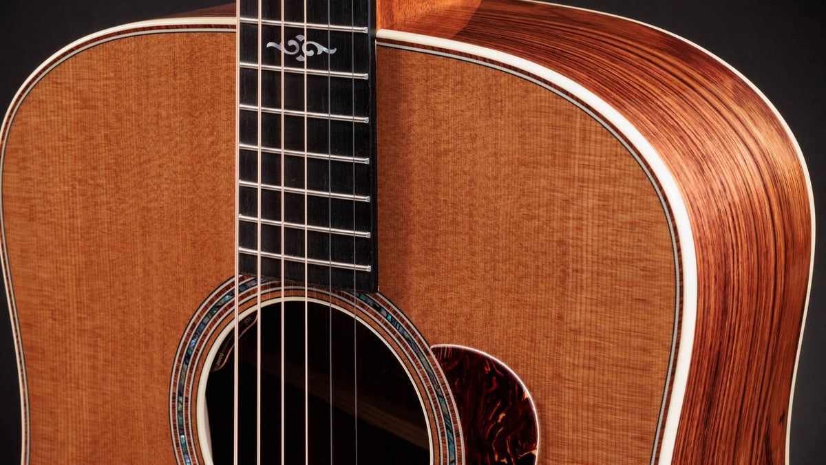 Đàn guitar acoustic điện Taylor Gold Label 810e – cận thùng đàn mặt trước