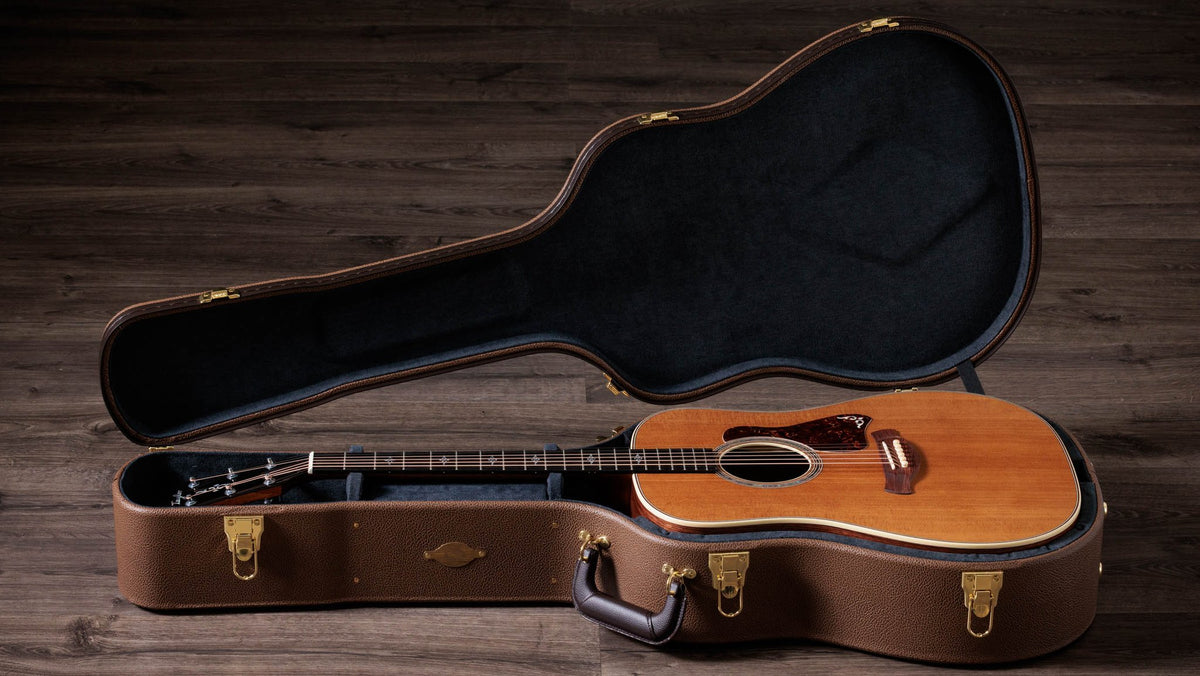 Đàn guitar acoustic điện Taylor Gold Label 810e – hộp đàn đi kèm